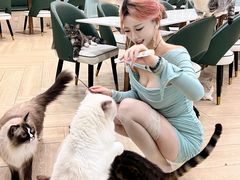 -安格丽娜·狗咖·猫咖羊驼咖(春熙路百盛商场店)