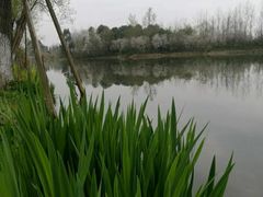 -白鹭湾湿地公园