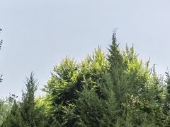 -东升八家郊野公园