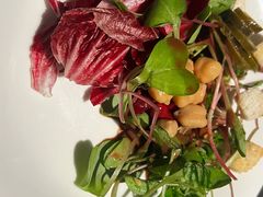 -领仕扒房(长春店)