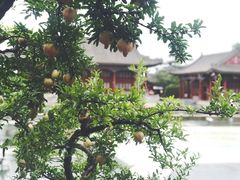 -西安华清御汤酒店