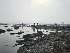 -大堂吧(大连金石滩绿发希尔顿度假酒店)