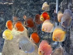 -石林冰雪海洋世界