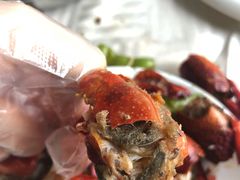 -小李子油焖大虾(天下城旗舰店)