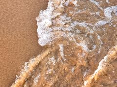 -第35届青岛国际啤酒节