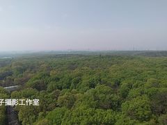 -灵谷景区