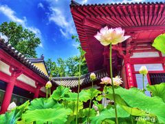 -灵谷景区