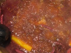 -蜀九香火锅(玉林店)