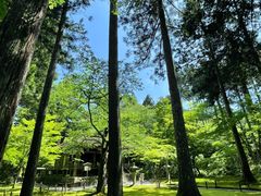 -三千院