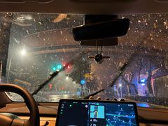 -江城燕子大排档(江汉路步行街店)