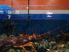 -渔乐圈海鲜餐厅(群力金江路店)