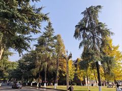 -四川大学(华西校区)