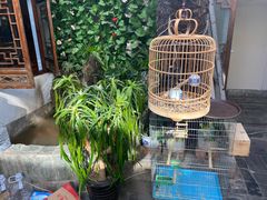 -丽江庭院·云南野生菌·海鲜火锅(鼓楼四合院店)