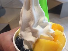 -Salud撒露欧洲冻酸奶(北苑上品店)