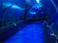 -多彩贵州城极地海洋世界