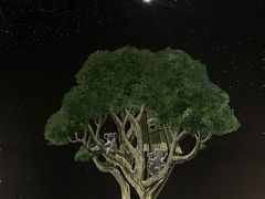 -GOELIA歌莉娅(成都鹏瑞利青羊广场店)