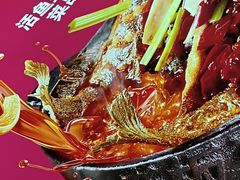 -老板恋上鱼(恒隆广场店)