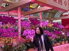 -香港东港城