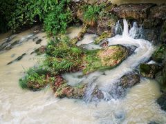 -花溪公园
