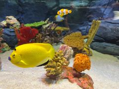 -上海海洋水族馆