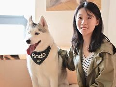 -Husky Go! 哈士奇体验馆·宠物咖啡厅狗咖