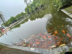 -上海第二工业大学(金海路校区)