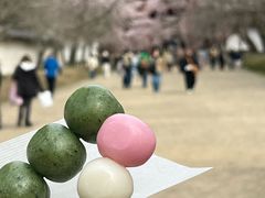 -醍醐寺