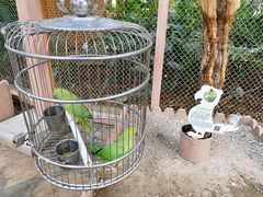 -南宫五洲植物乐园