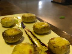 -百好乐宠物友好餐厅(朝外大街店)