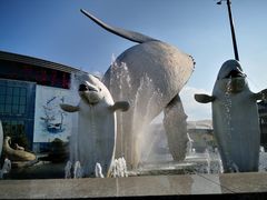 -福州罗源湾海洋世界旅游区