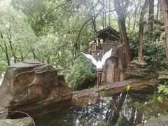 -巴倒烫陆派火锅山庄(南山总店)