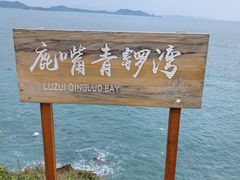 -杨梅坑