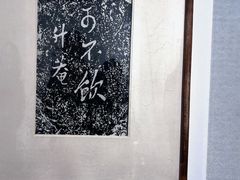 -桂湖森林公园