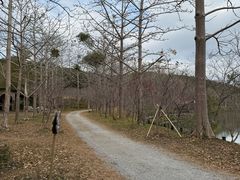 -田野绿世界