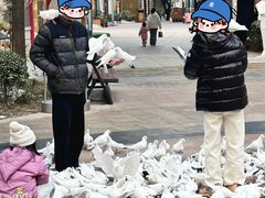 -中粮·祥云小镇