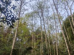 -腾冲云峰山