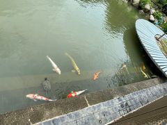 -石排湾郊野公园