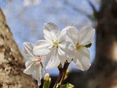 -星湖街(地铁站)