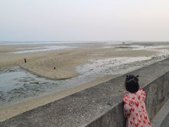 -北海金海湾红树林生态旅游区