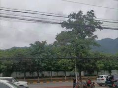 -都江堰石锅鱼