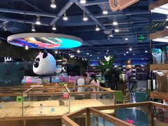 -龟与熊猫宠物公园(南坪店)