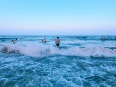 -日照海滨国家森林公园