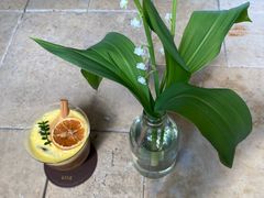 -Line 咖啡(石厦花园店)