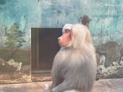 -无锡动物园·太湖欢乐园