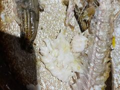 -渔家傲(唐人店)