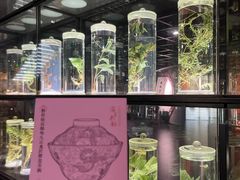 -广东中医药博物馆
