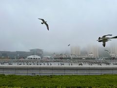 -星海广场