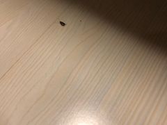 -锦江之星(上海漕河泾星中路地铁站店)