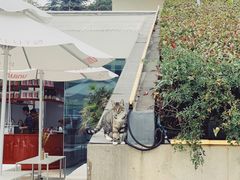 -UNIUNI(凯瑟琳广场店)