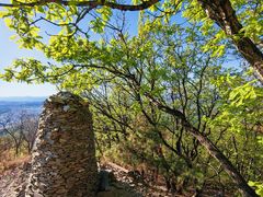 -帽儿山国家森林公园